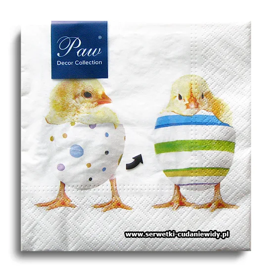 8523PACZKA Chick Fashion