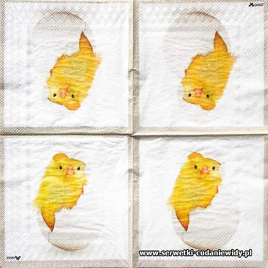 8538 Funny Chicken