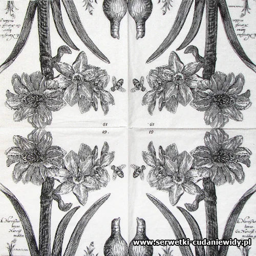 8555 Narcissus Charcoal