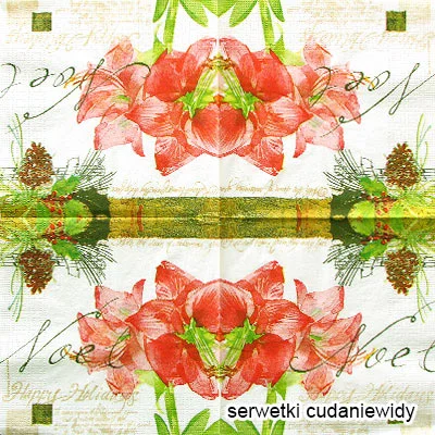 8560 Świąteczny Amarylis