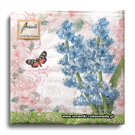 8584PACZKA Hyacinth
