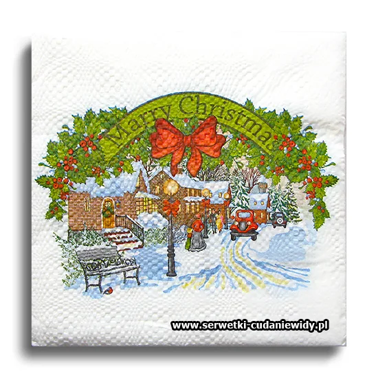 8606PACZKA Winter Time