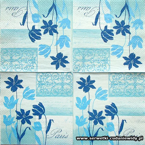 8667 Serwetki Decoupage