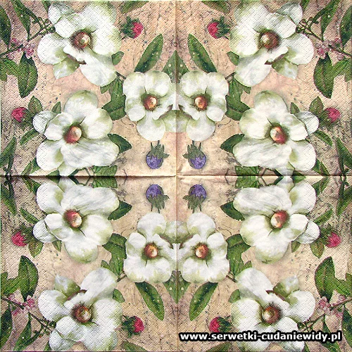 8713 Trois Magnolias Blanc