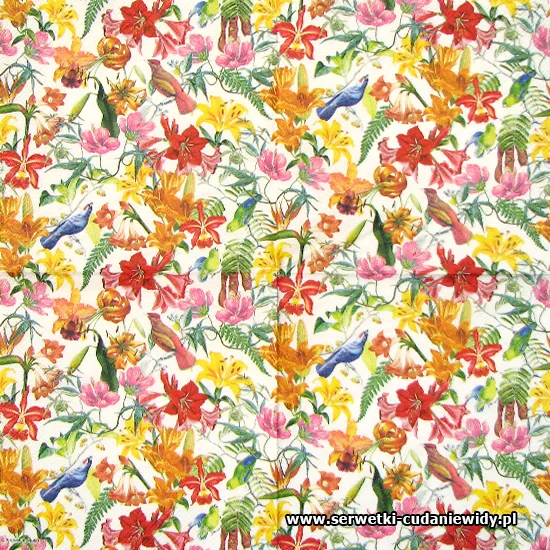 8754 Paradise Birds