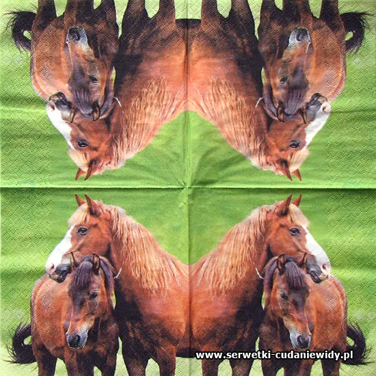 8780 Two Horses