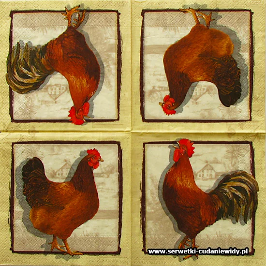 8801 Rooster