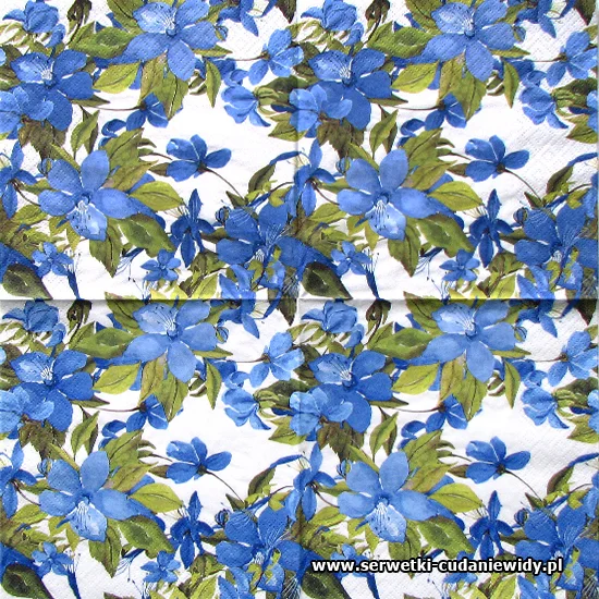 8841 Flowering Clematis Blue