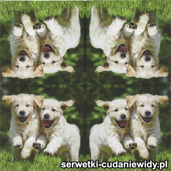 8896 Wesołe Szczeniaki
