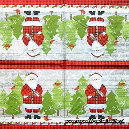 8906 Red Lodge Santa