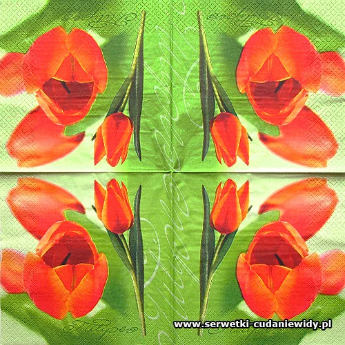8920 Chic Tulip Dark Red