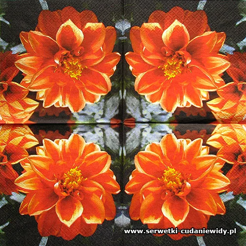 8966 Paper Design