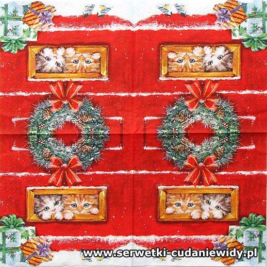 8972 Ciekawskie Kociaki