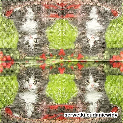8988 Pussy