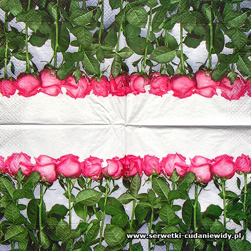 9067 Roses In A Row