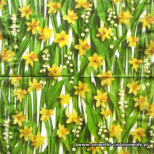 9084 Spring