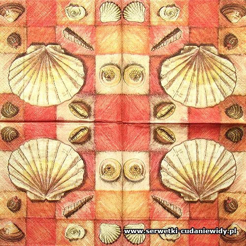 9123 Sea Shell