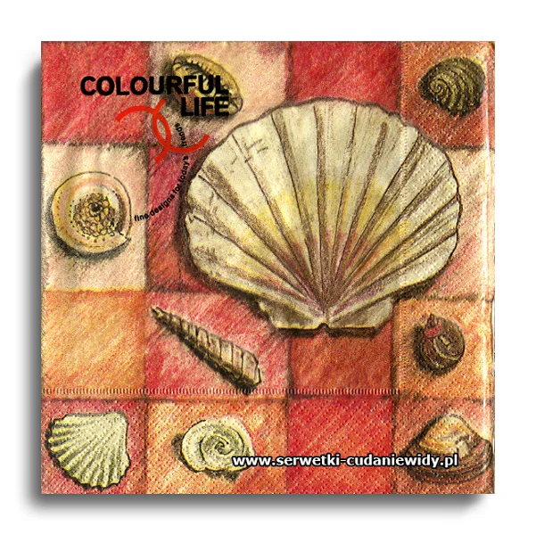 9123PACZKA Sea Shells