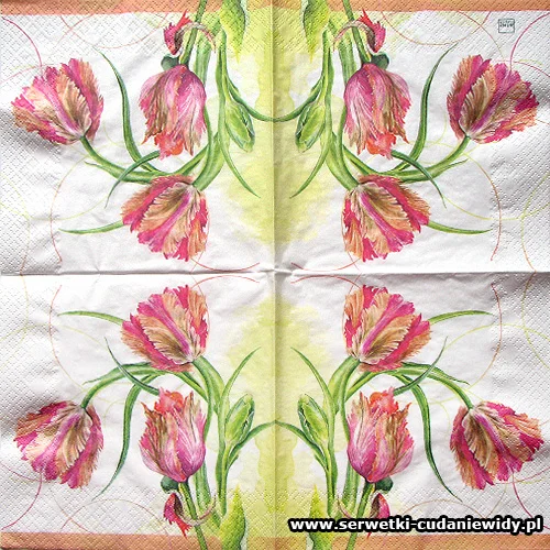 9137 Parrot Tulip