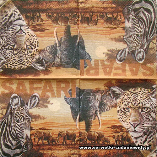 9149 Paper Design