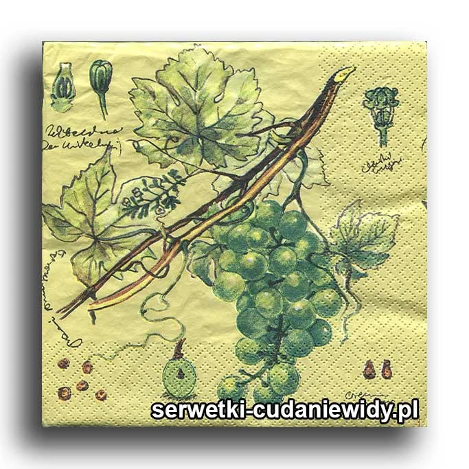 9182PACZKA Winogrono Jak Malowane