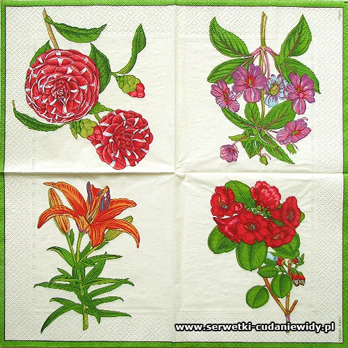9202 Red Flowers Various