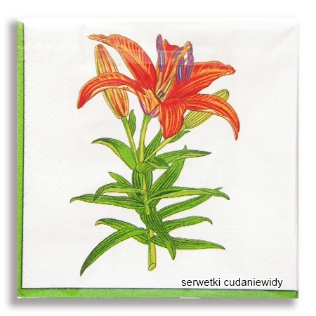 9202PACZKA Orange Flowers