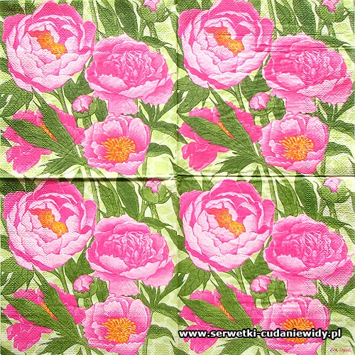 9217 Peon Pink