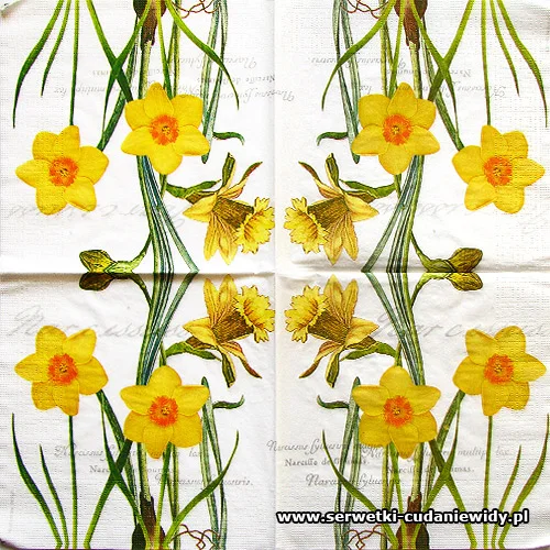 9228 Narcissus White