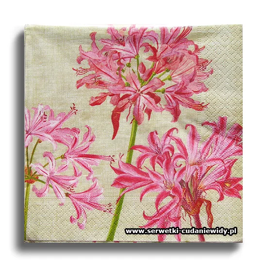 9234PACZKA Pink Flowers