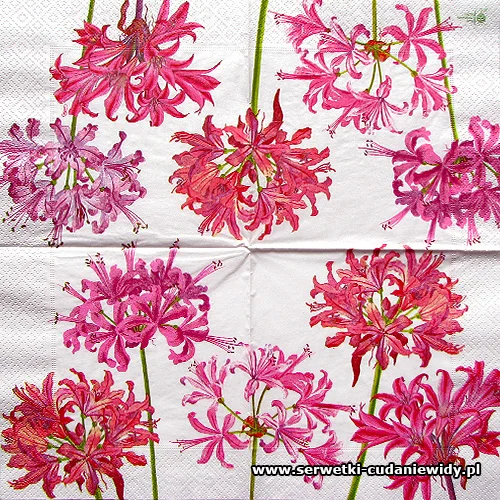 9239 Pink Flowers