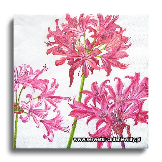 9239PACZKA Pink Flowers