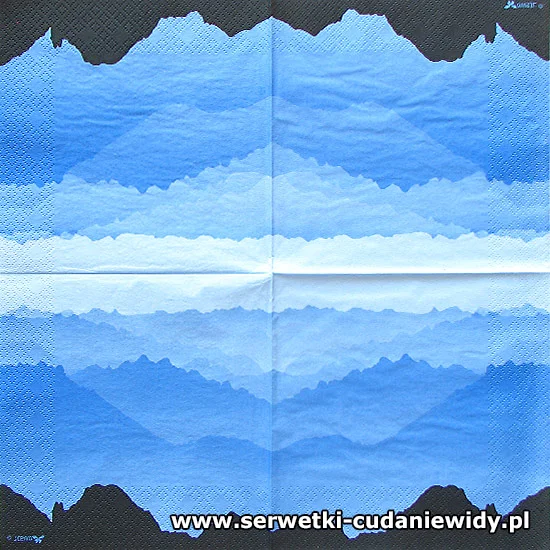 9247 Archiwalny Wzór