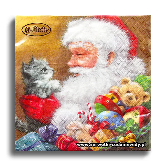 9293PACZKA Santa With Kitten
