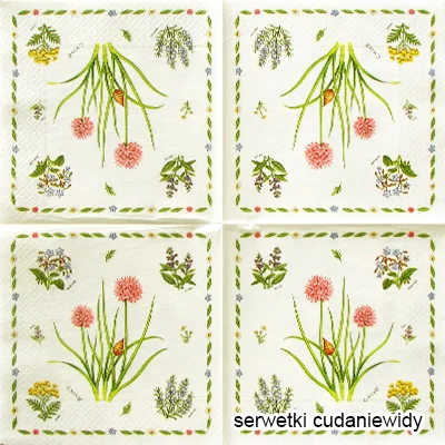 9299 Herb Garden