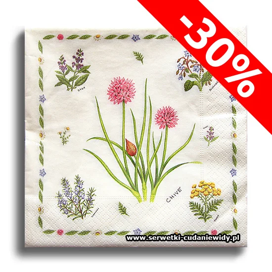 9299PACZKA-_30% 9299Paczka _30%