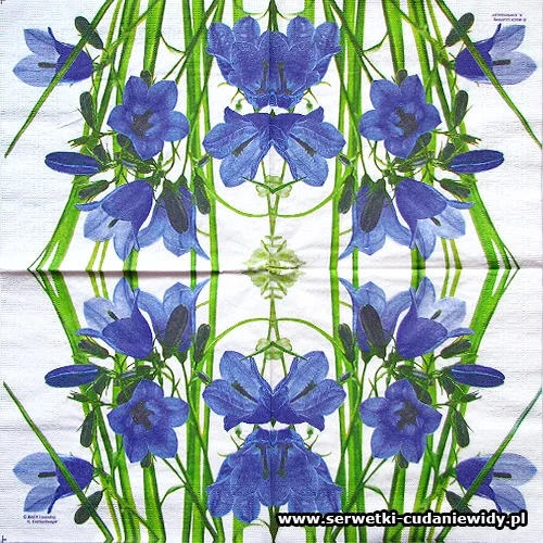 9456 Old Bluebell