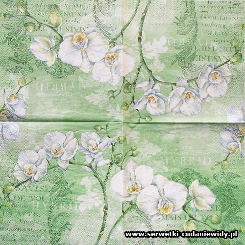 9489 White Orchids Green