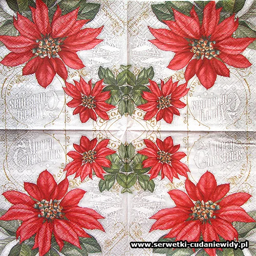 9538 Flores De La Navidad