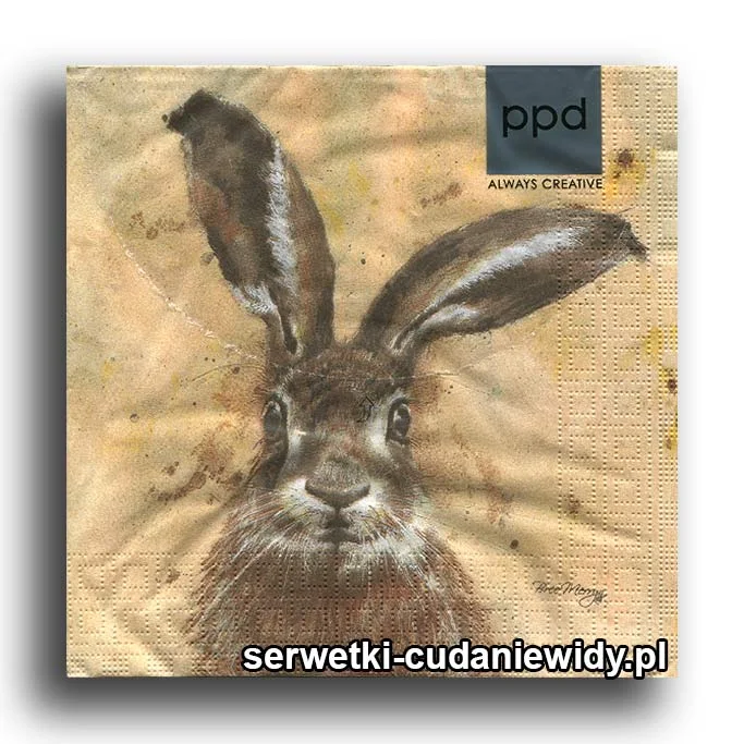 9548PACZKA Zając Brązowy