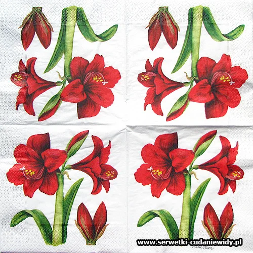 9559 Christmas Lily