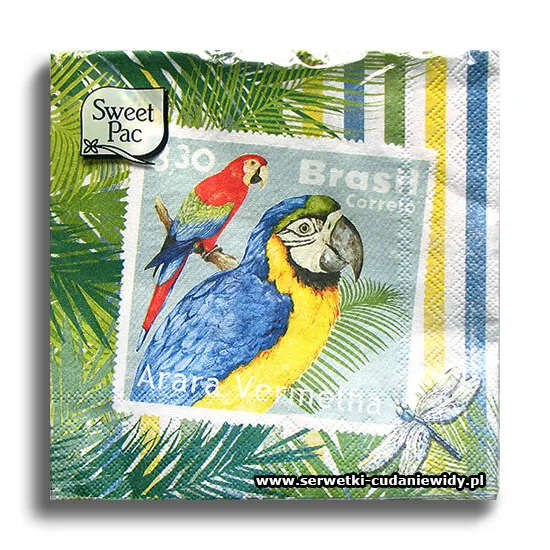 9563PACZKA Rio Brasil