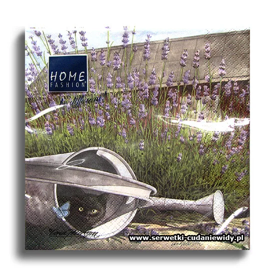 9592PACZKA Cat And Lavender