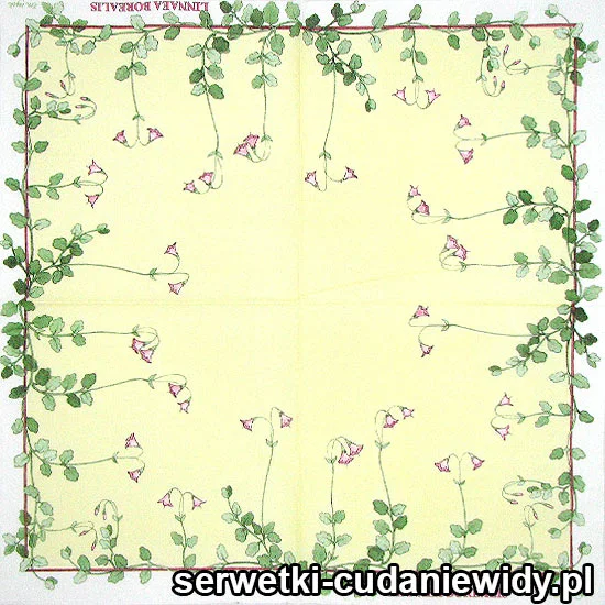 9624 Dzwoneczki Różowe