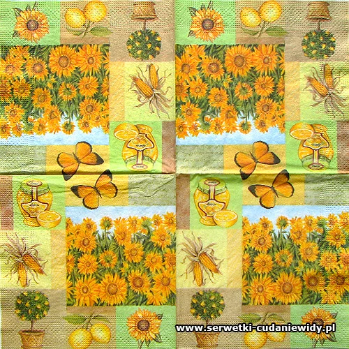 9737 Sunflower Fields