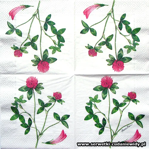 9754 Pink Flowerfield
