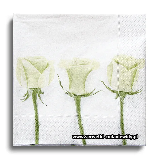 9778PACZKA Roses
