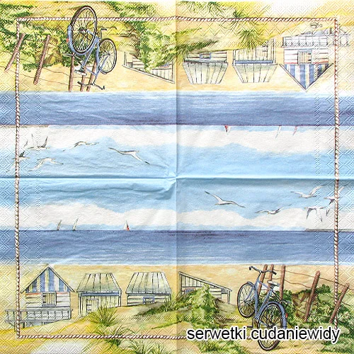 9817 Beach Bicycle