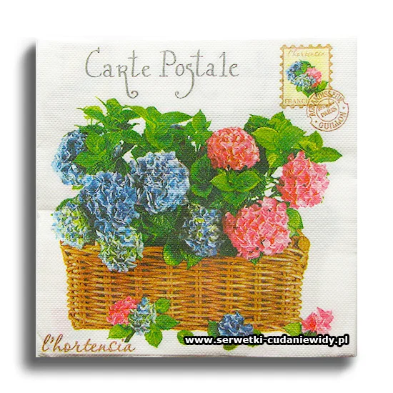 9937PACZKA Carte Postale