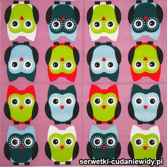 9953 Sowy Kolorowe